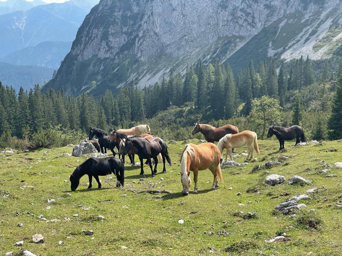 ホテルEuroparcs Leutasch-Seefeld エクステリア 写真